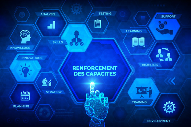 Renforcement des capacités et de la résilience des organisations